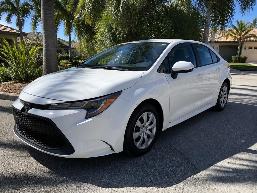 Clean white Toyota Corolla rental car parked under palm trees